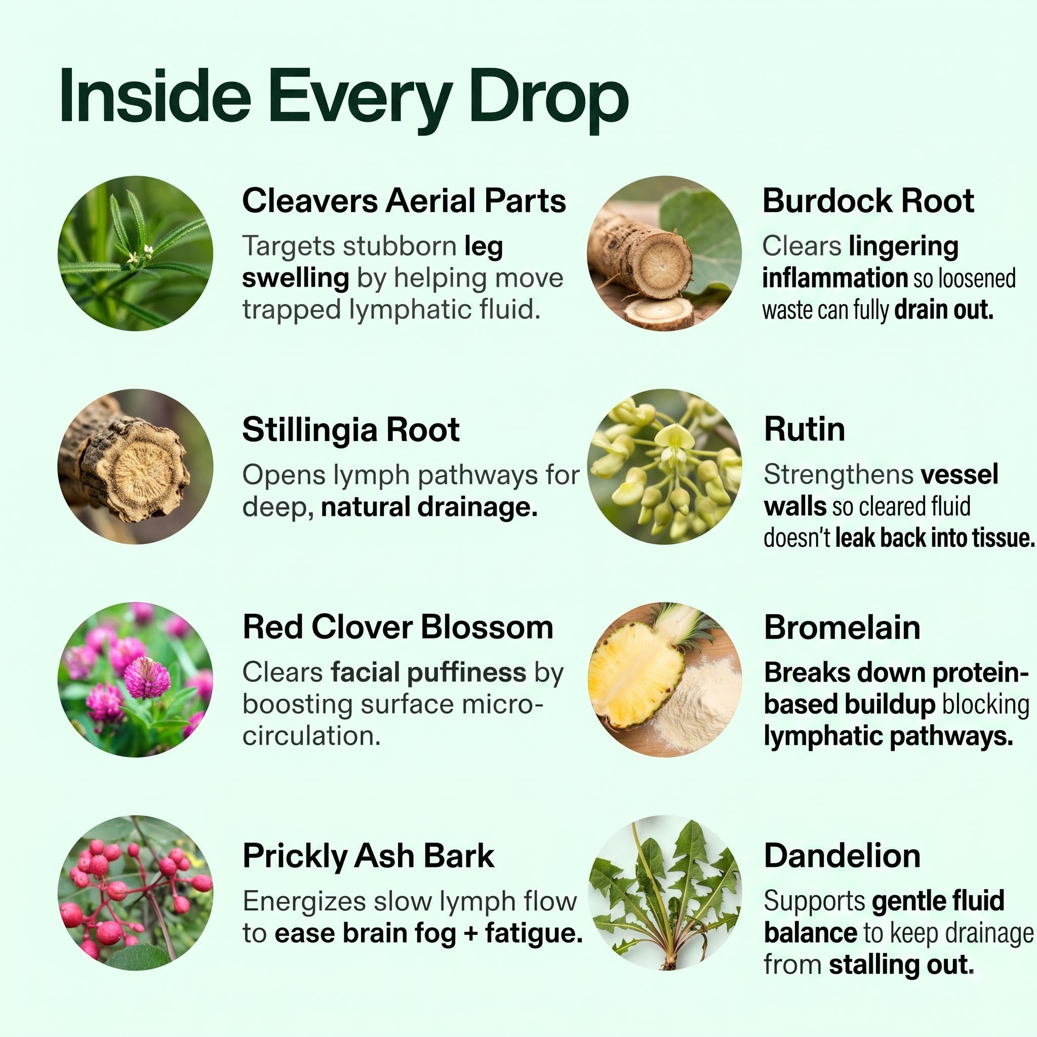 Lymphatic Drainage Drops